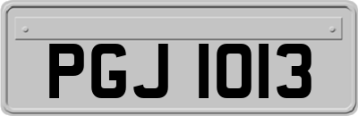 PGJ1013