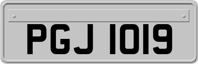 PGJ1019