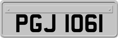 PGJ1061