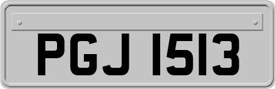PGJ1513