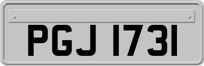PGJ1731