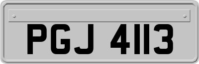 PGJ4113