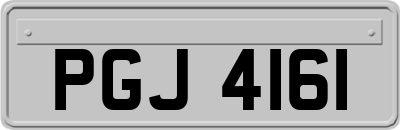 PGJ4161