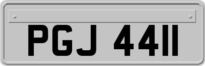 PGJ4411