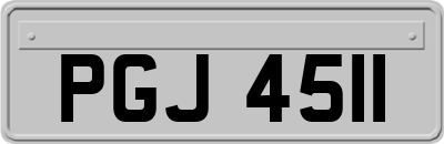 PGJ4511
