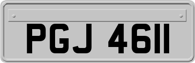 PGJ4611