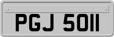 PGJ5011