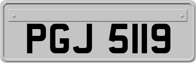 PGJ5119