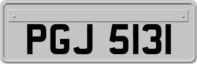 PGJ5131
