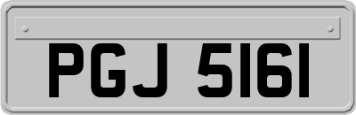 PGJ5161
