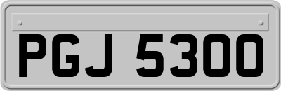 PGJ5300