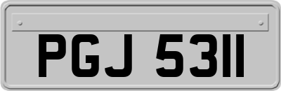 PGJ5311