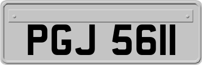 PGJ5611