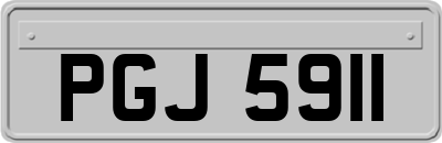 PGJ5911