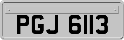PGJ6113