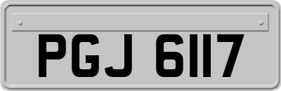 PGJ6117