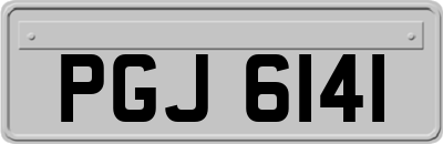 PGJ6141