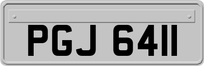 PGJ6411