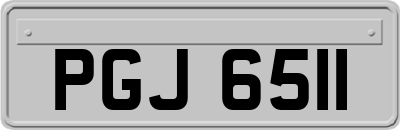 PGJ6511