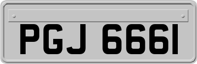 PGJ6661