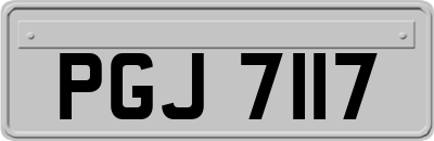 PGJ7117