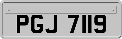 PGJ7119