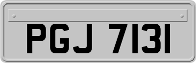 PGJ7131