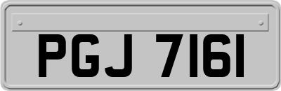PGJ7161