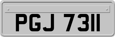 PGJ7311