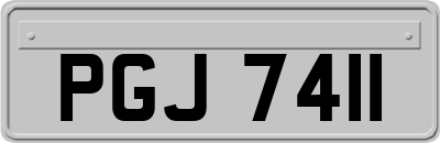 PGJ7411