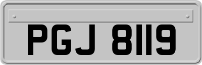 PGJ8119
