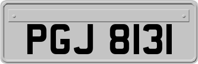 PGJ8131