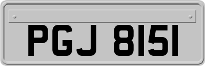 PGJ8151
