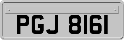PGJ8161