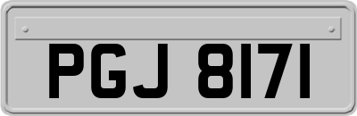 PGJ8171