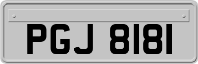 PGJ8181