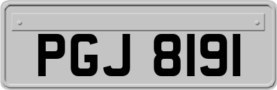 PGJ8191