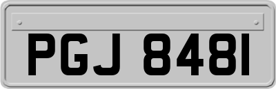 PGJ8481