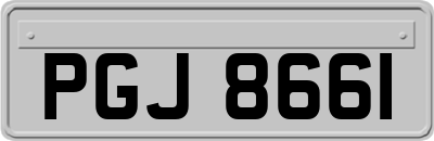 PGJ8661