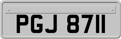 PGJ8711