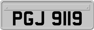 PGJ9119