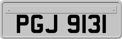 PGJ9131