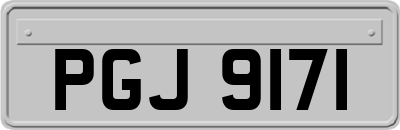 PGJ9171