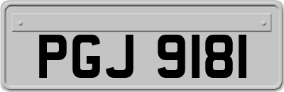PGJ9181