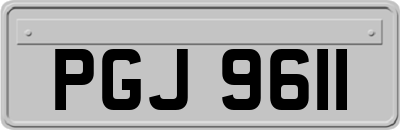 PGJ9611