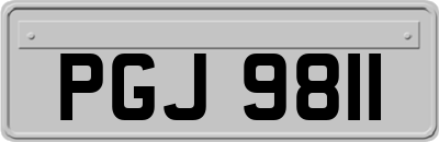 PGJ9811