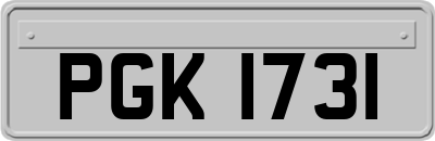 PGK1731