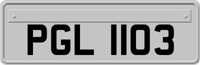 PGL1103