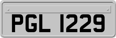 PGL1229