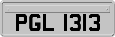 PGL1313